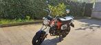 Honda Dax ST125, 125 cm³, Particulier, Éclairage LED, Autre