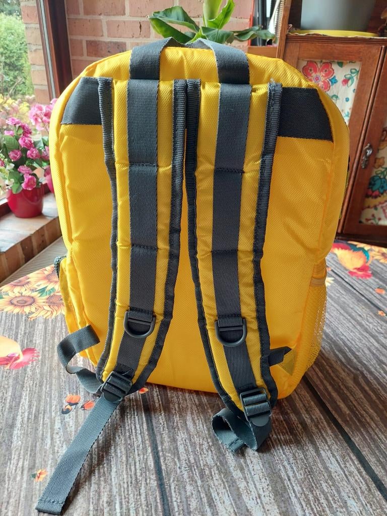 Isolerende rugzak, Handtassen en Accessoires, Tassen | Rugtassen, Ophalen