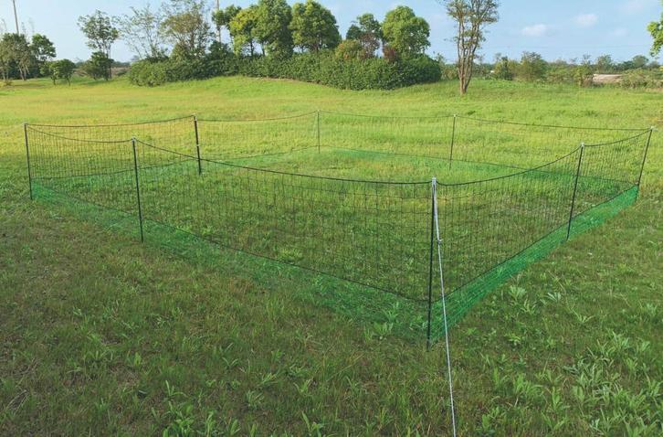 Kippenren in net 21x1.25m, Dieren en Toebehoren, Pluimvee | Toebehoren, Nieuw, Kippenhok of Kippenren, Ophalen of Verzenden