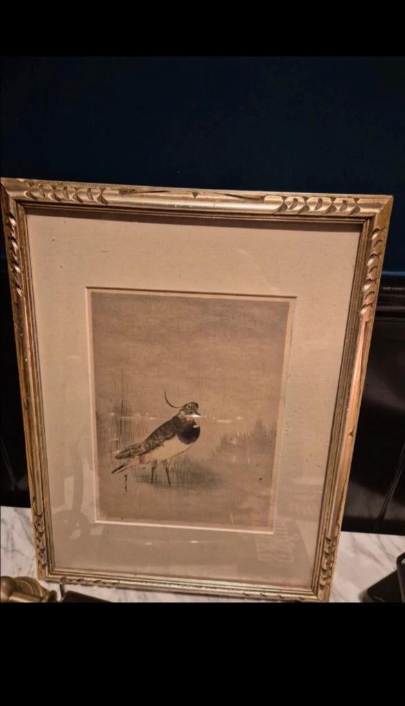 Estampe japonaise authentique  Watanabe  Seitei, Enlèvement ou Envoi