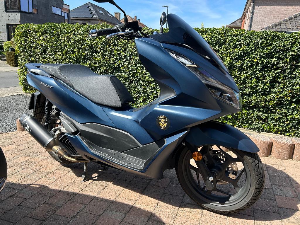 Honda PCX 125, Motos, Scooter, Occasion, Jusqu'à 11 kW, Permis Moto A1 minimum