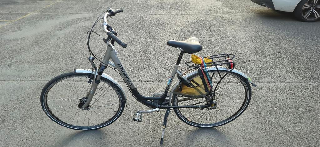 Nette Minerva San Remo Damesfiets, Ophalen, Versnellingen