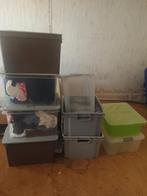 Plastic bakken, Ophalen of Verzenden