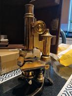 Microscope E. Leitz Wetzlar en laiton XIX siècle., Collections, Enlèvement