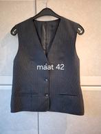 Gillet voor dames (geschikt voor horeca) maat 42, Kleding | Dames, Bodywarmers, Ophalen, Maat 42/44 (L)