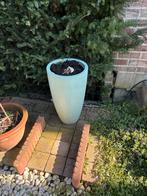 Pot.  Fleurs, Enlèvement ou Envoi, Comme neuf