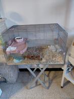 Hamster met kooi heel tam, Enlèvement ou Envoi, Cage, Hamster