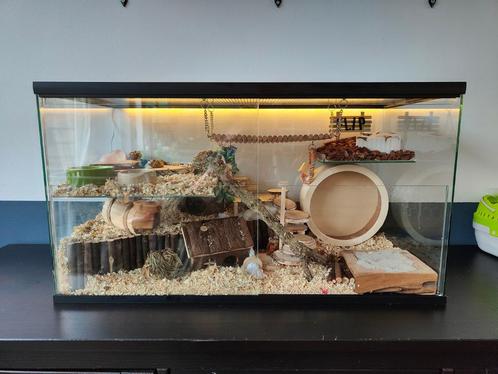 Glazen Gerbilkooi met Schuifruiten - Gerbil Terrarium, Dieren en Toebehoren, Knaagdieren en Konijnen | Hokken en Kooien, Nieuw