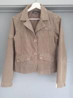 Ribfluweel vest maat 36, Kleding | Dames, Charter, Ophalen of Verzenden, Zo goed als nieuw, Maat 36 (S)