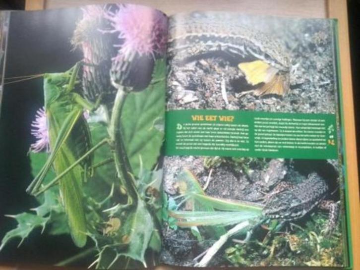 boek: de vier seizoenen/Béatrice Fontanel+artiscoop 40, Boeken, Natuur, Zo goed als nieuw, Natuur algemeen, Ophalen of Verzenden