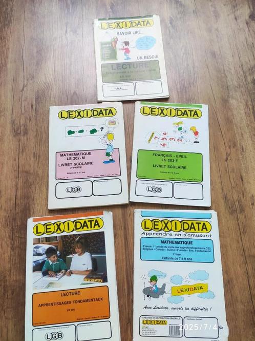 fiches dossiers lexidata, Boeken, Schoolboeken, Gelezen, Overige vakken, Ophalen