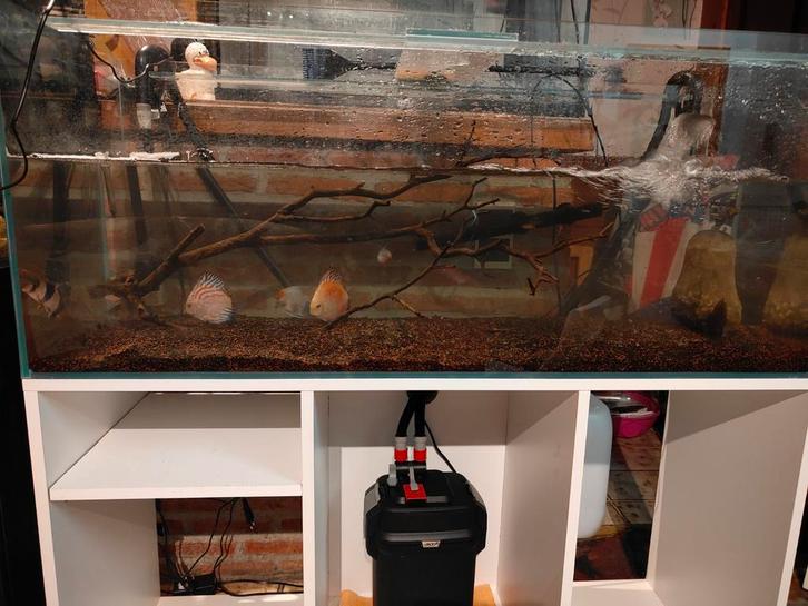 Aquarium 240 litres, Animaux & Accessoires, Poissons | Aquariums & Accessoires, Comme neuf, Enlèvement