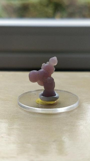 Druifagaat clusters beschikbaar voor biedingen