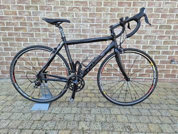 Racefiets Moozes Squadron, 49 à 53 cm, Comme neuf, Enlèvement, 28 pouces