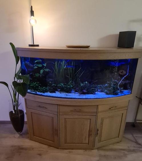 Juwel vision 450 + toebehoren, Dieren en Toebehoren, Vissen | Aquaria en Toebehoren, Gebruikt, Gevuld zoetwateraquarium, Ophalen