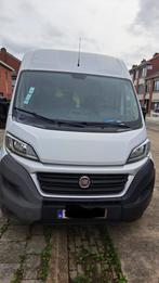 Fiat Ducato. blanc, type BB Furgone, Caravanes & Camping, Camping-cars, 5 à 6 mètres, Diesel, Modèle Bus, Particulier