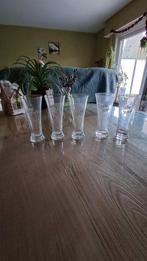 Stella artois glazen, Ophalen of Verzenden, Zo goed als nieuw, Bierglas