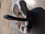 Maxi Cosi x Joolz, Kinderen en Baby's, Ophalen, Gebruikt
