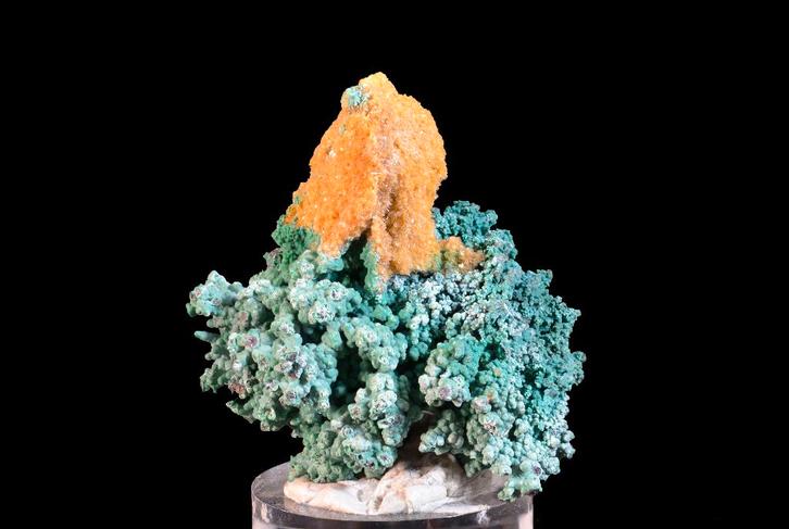 Wulfeniet op cupriet en malachiet Haut Katanga, Congo, Verzamelen, Mineralen en Fossielen, Mineraal, Ophalen of Verzenden