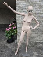 Paspoppen dames, Diversen, Overige Diversen, Ophalen, Gebruikt