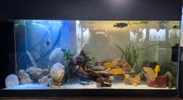 Cuve vide 250L  beschikbaar voor biedingen