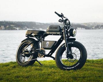 Ape Ryder Bonobo elektrische fiets - FatBike  beschikbaar voor biedingen