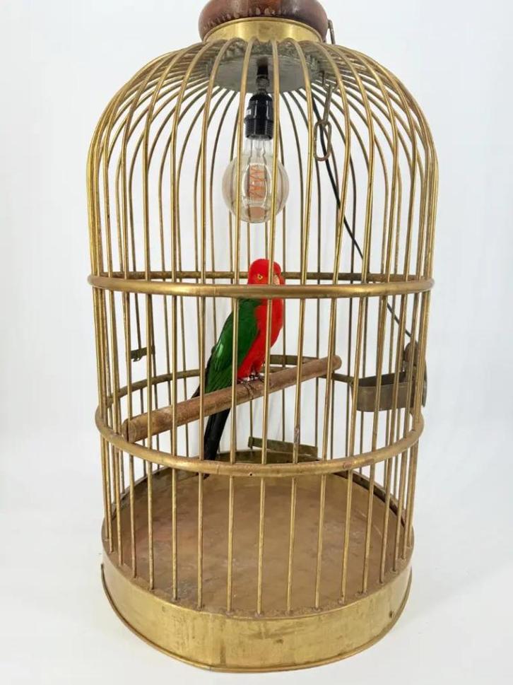 Opgezette Australische koningsparkiet in kooi - Wildernis At, Verzamelen, Dierenverzamelingen, Nieuw, Opgezet dier, Ophalen of Verzenden