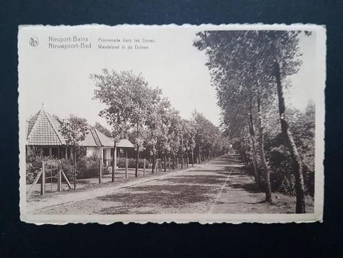 Nieuwpoort Bad Nieuport-Bains Wandelpad in de duinen, Verzamelen, Postkaarten | België, Ongelopen, West-Vlaanderen, 1920 tot 1940