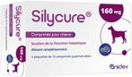 2 boites de sylicure chien 160mg boite de 75 comprimés, Animaux & Accessoires, Enlèvement ou Envoi, Neuf