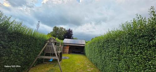 Maison Grimbergen, Immo, Huizen en Appartementen te koop