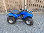 Yamaha breeze 125cc automaat kinderquad, Motoren