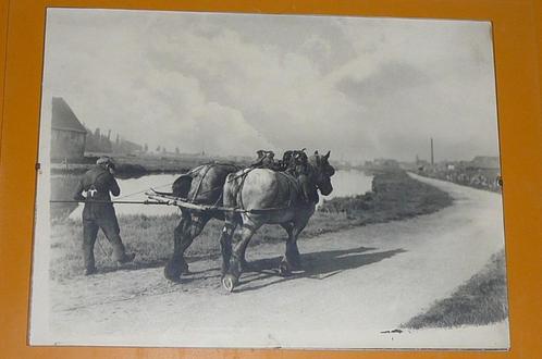 Foto  :  Jaagpad  : Trekkende paarden, Verzamelen, Foto's en Prenten, Foto, Ophalen of Verzenden