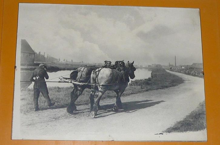 Foto  :  Jaagpad  : Trekkende paarden, Verzamelen, Foto's en Prenten, Foto, Ophalen of Verzenden