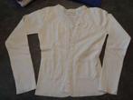 vest outfitters nation medium, Kleding | Dames, Wit, Ophalen of Verzenden, Gedragen, Outfitters nation