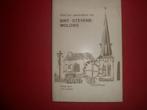1000 jaar geschiedenis van Sint-Stevens-Woluwe, Ophalen of Verzenden, Gelezen, Frans Maes & Jos Lauwers