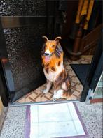vintage Italy Lassie hond porselein 80cm.  mid century, Ophalen, Huis en Inrichting