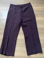 3/4 broek - Zapa - maat 36/38, Paars, Ophalen of Verzenden, Zo goed als nieuw, Maat 36 (S)