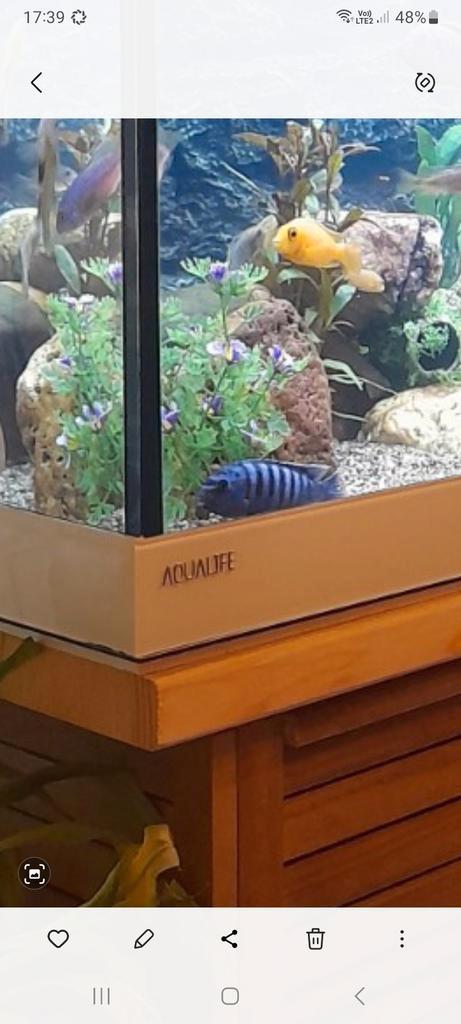 Aqualife aquarium b150cm h 65cm d 45cm.., Animaux & Accessoires, Poissons | Aquariums & Accessoires, Utilisé, Enlèvement