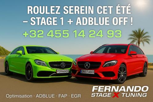 FAP EGR REPRO CARTO ADBLUE, Diensten en Vakmensen, Verhuur | Auto en Motor