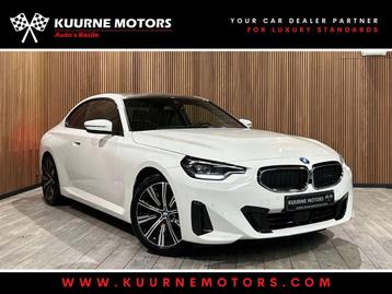 BMW 2 Serie 218 iA Coupé Alu18"/Led/Gps/VerwZet *2j garanti beschikbaar voor biedingen