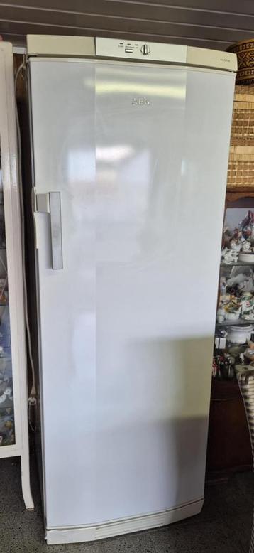 AEG Arctis diepvriezer 6 laden, Enlèvement, Utilisé