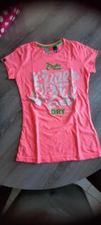 5 merk  t-shirts allen in perfecte staat, maat 152, Kinderen en Baby's, Superdry, Meisje, Ophalen of Verzenden, Zo goed als nieuw