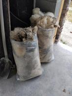 Schapenwol texel van 3 schapen, Dieren en Toebehoren