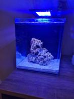 Blue marine reef 60, Ophalen of Verzenden, Gebruikt, Leeg aquarium