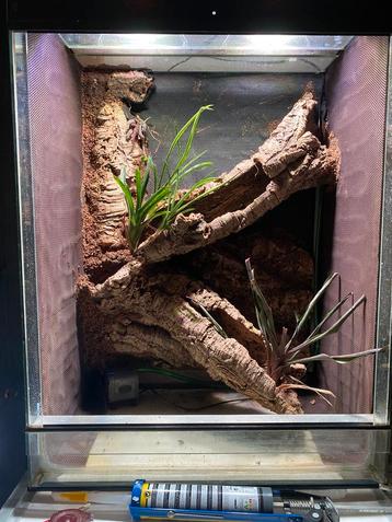 Af te maken terrarium beschikbaar voor biedingen