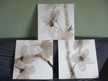 lot de 3 cadres beschikbaar voor biedingen