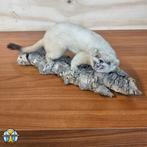 Goed Opgezette Mannetjes Hermelijn op boom bast (L:35cm), Ophalen of Verzenden, Zo goed als nieuw, Wild dier, Opgezet dier