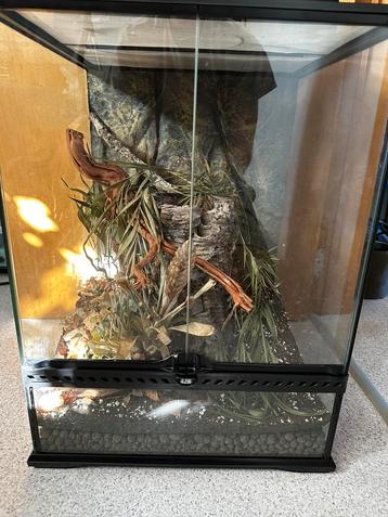 Exo terra 45x60x45 beschikbaar voor biedingen