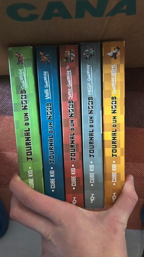 Journal d’un noob ( livre minecraft ) 5 tomes, Livres, Aventure & Action, Enlèvement