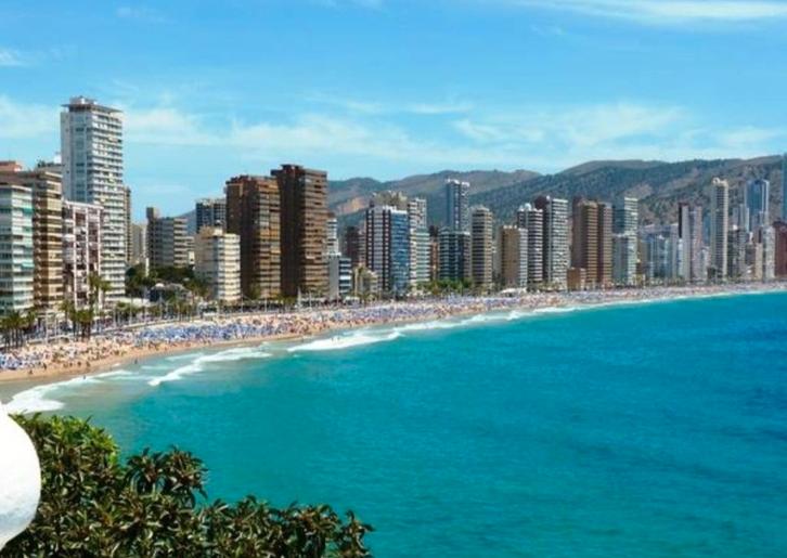 Compagnon, Diversen, Overige Diversen, Ophalen of Verzenden